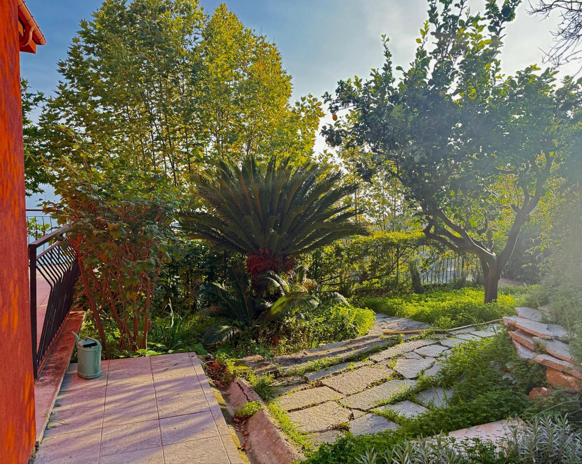 Villa Cielo Costarainera المظهر الخارجي الصورة