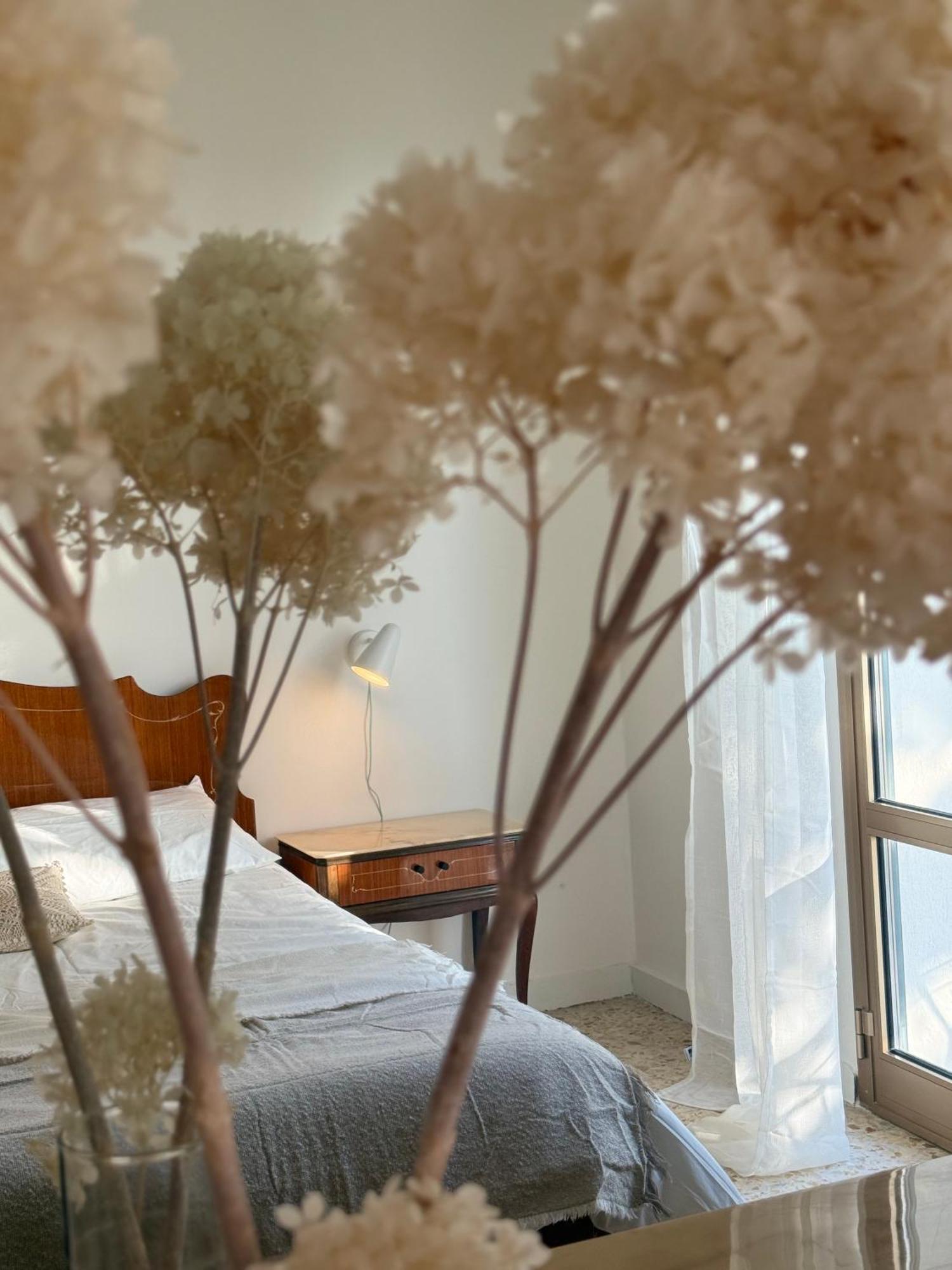 Villa Cielo Costarainera المظهر الخارجي الصورة